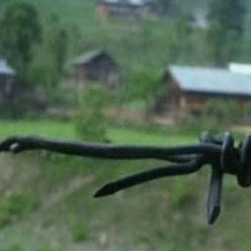 Seven Pakistani soldiers martyred in unprovoked Indian firing at LoC